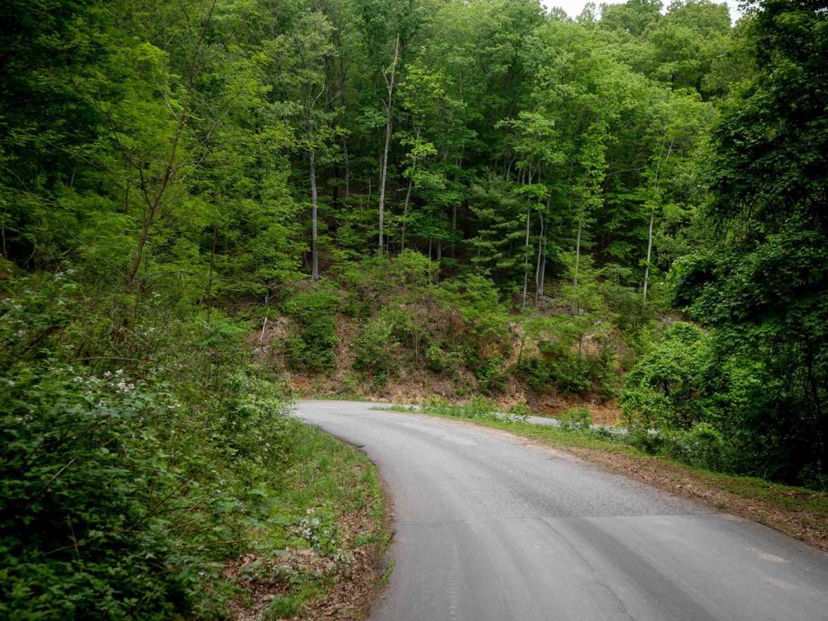 Gravel Road photo 3