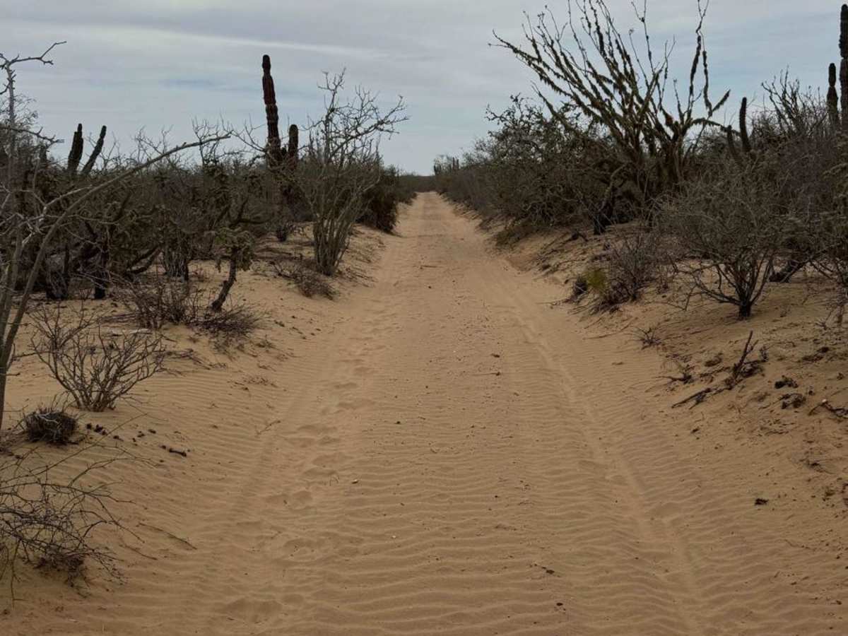 El Alhuate Loop photo 6