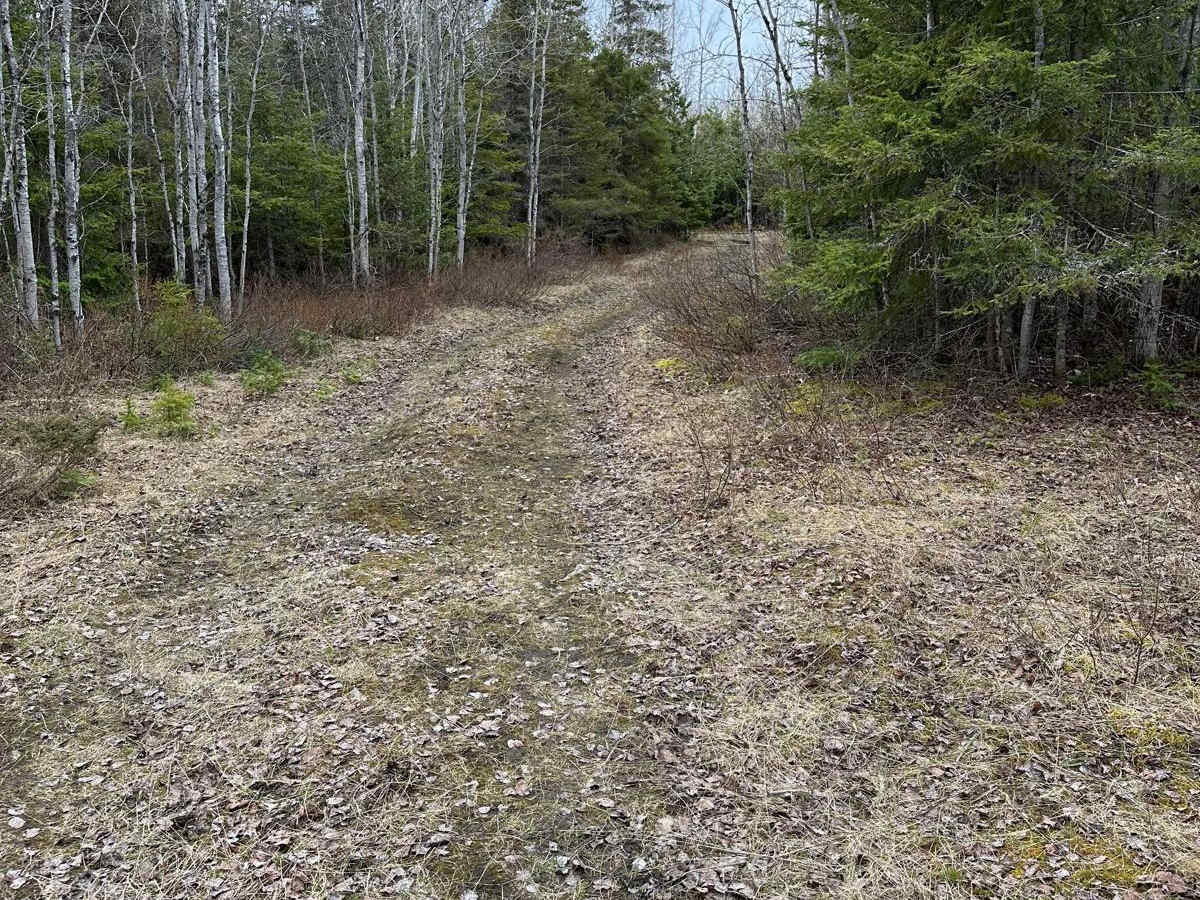 Maxton Loop photo 3
