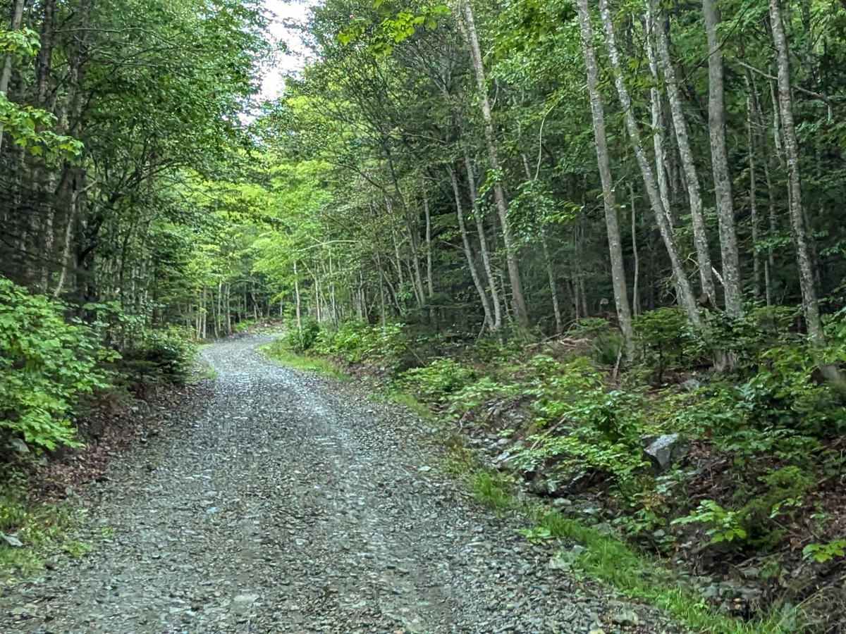 Browns Mountain Road photo 4