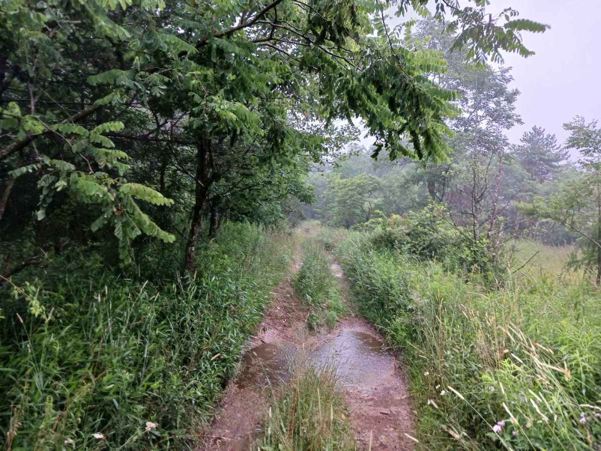 Trail 3D - Rock Run Recreation Area photo 6