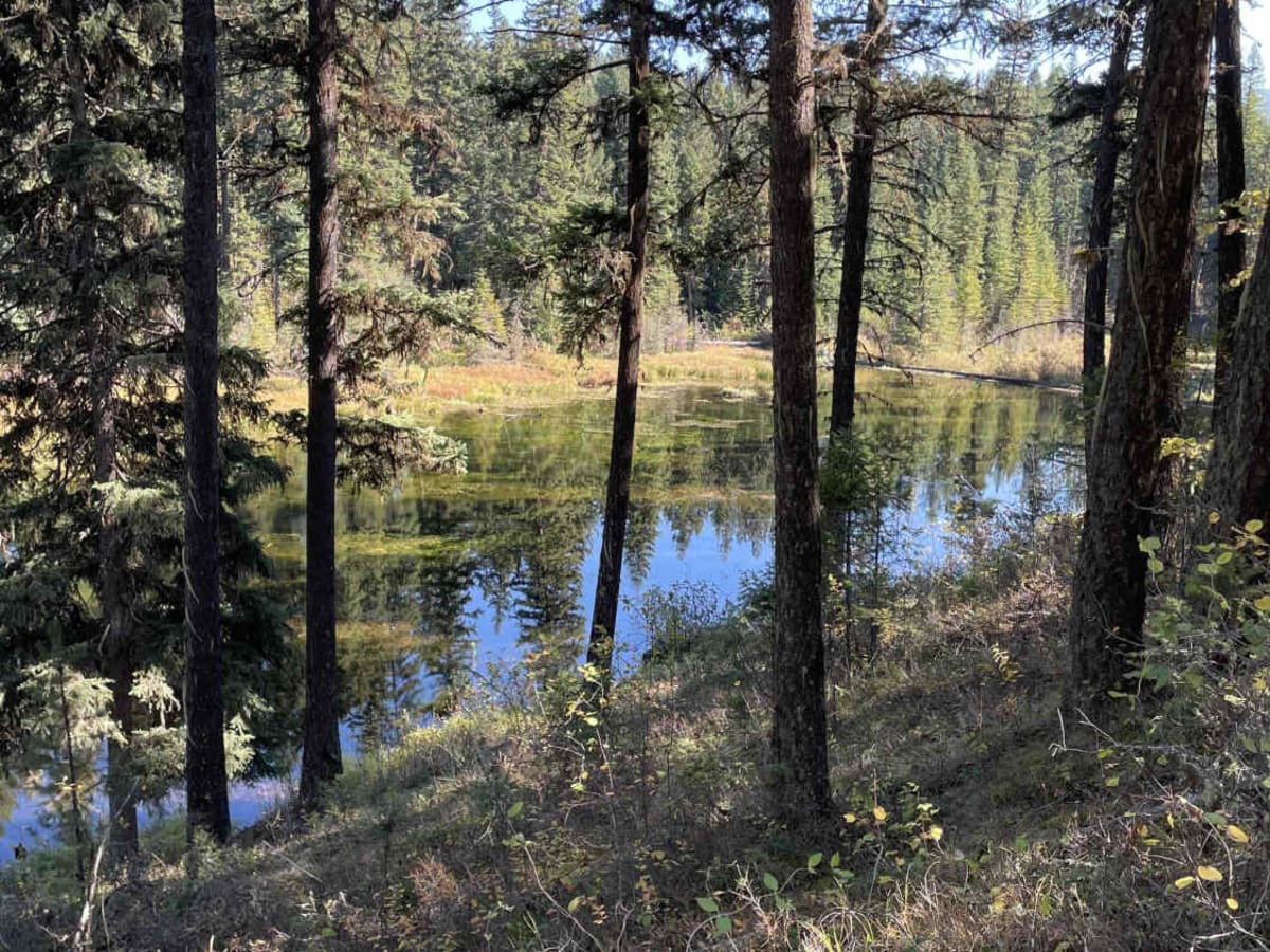 St. Marys Lake/Twin Lake Road photo 4