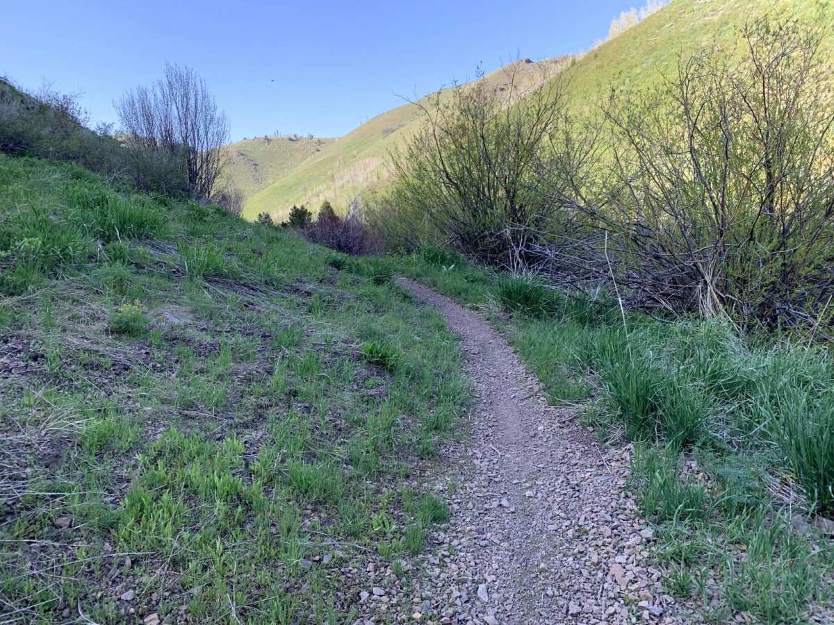 Third Fork photo 2