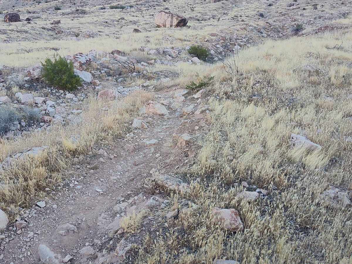 Warm-up for Edge of the World - Single Track trail photo