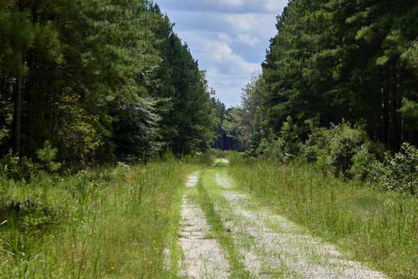 Middle Road