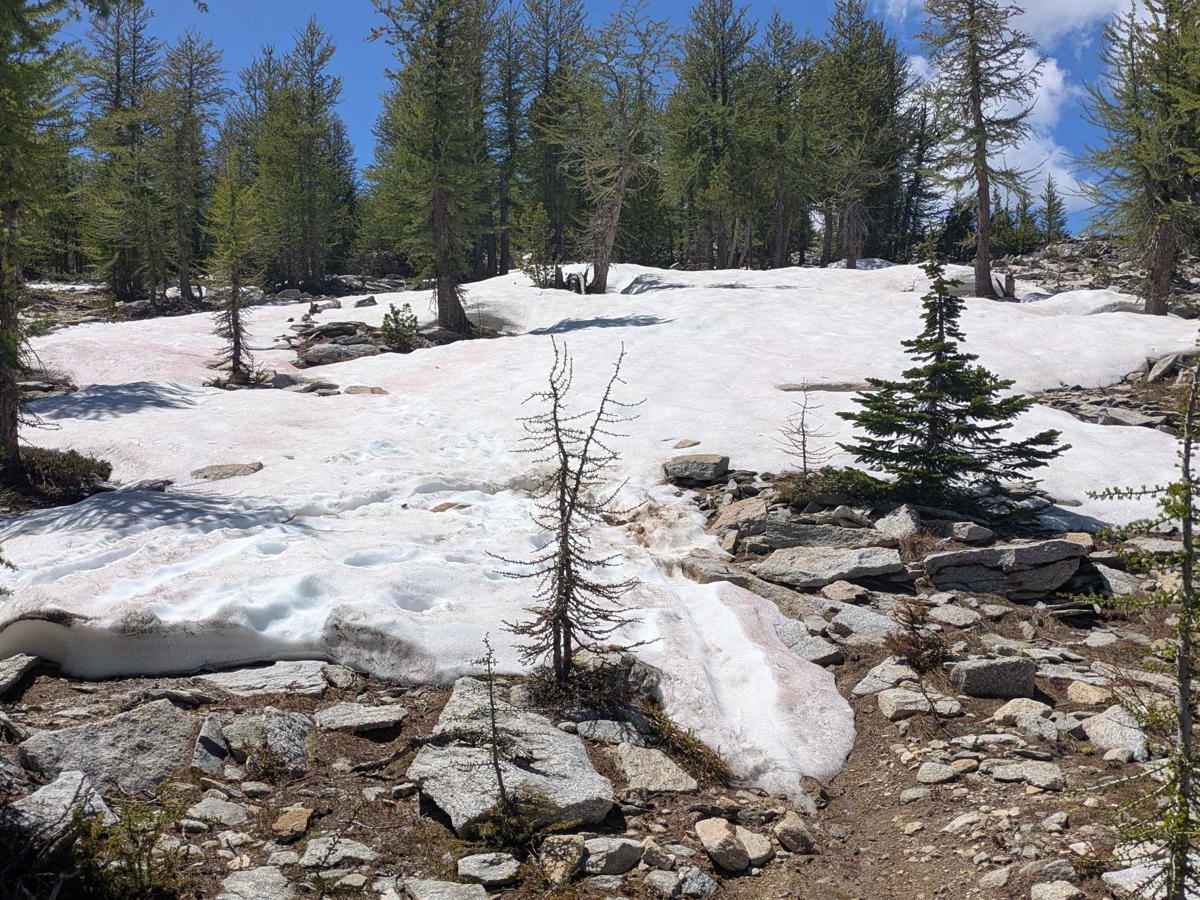 Ward Mountain photo 6