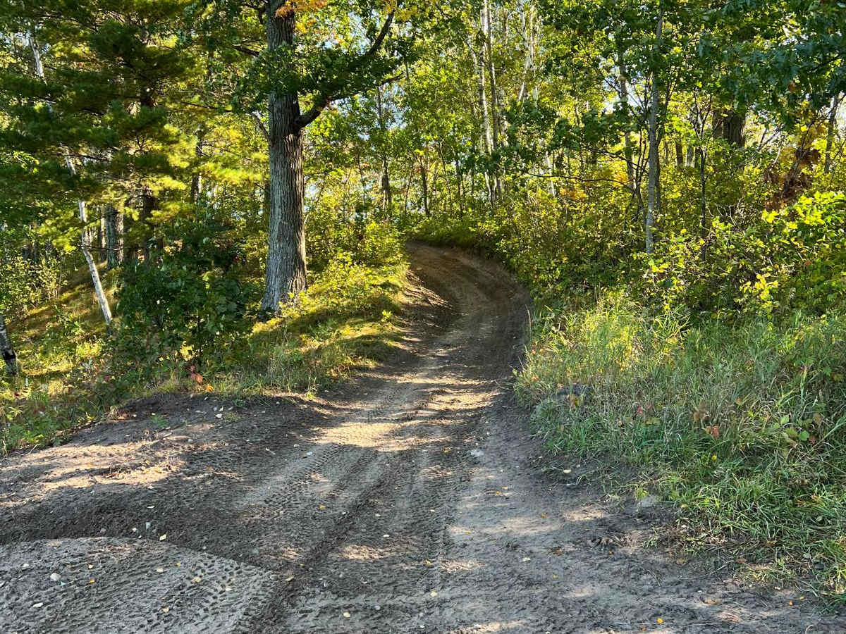 Cut Lake Scenic Drive trail photo