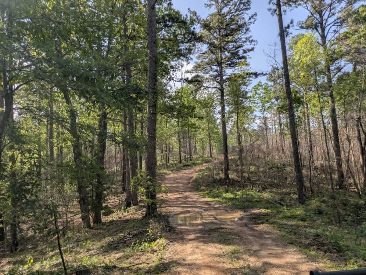 Bee Branch Road photo 3
