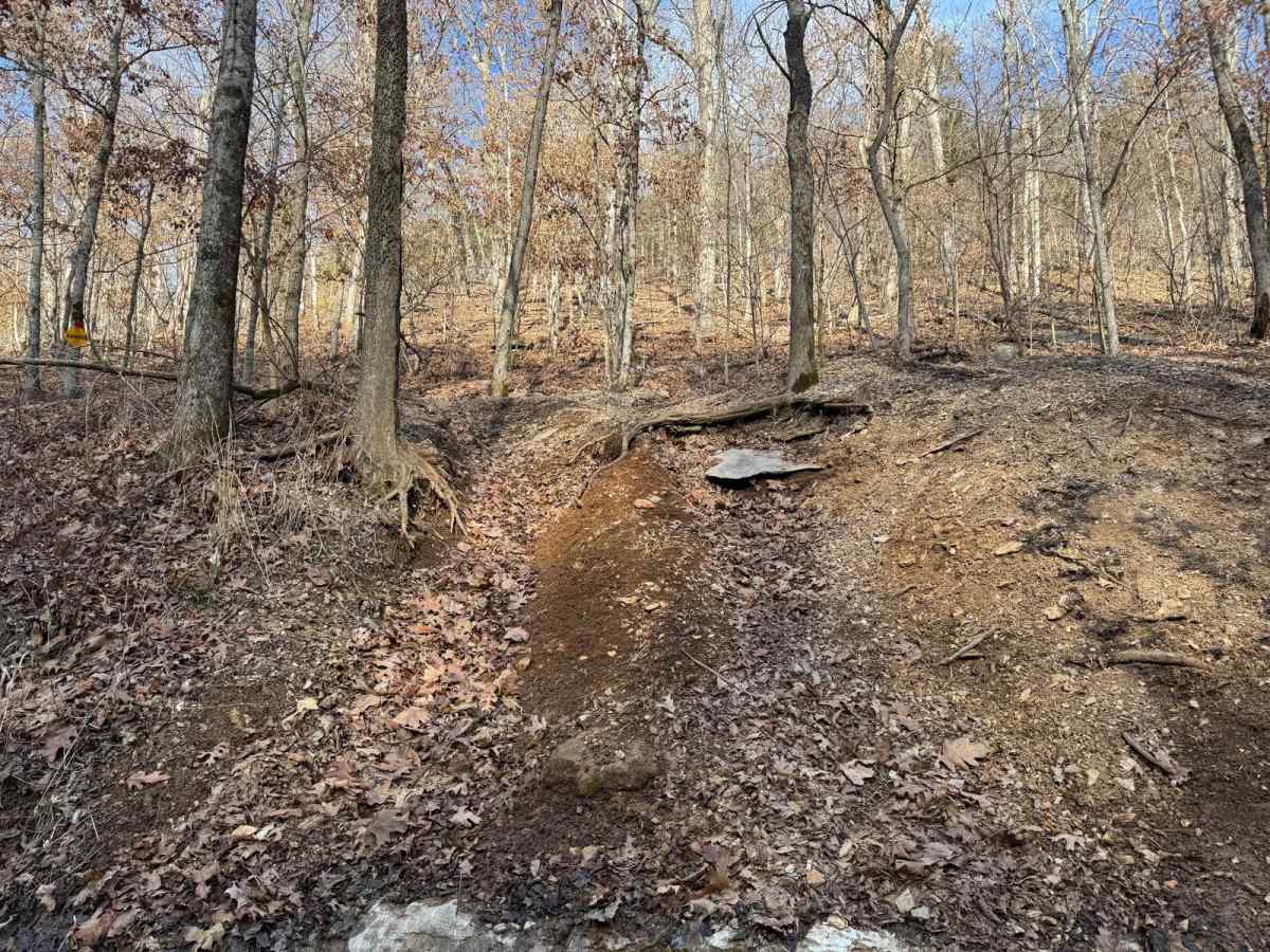 Red 362 trail photo