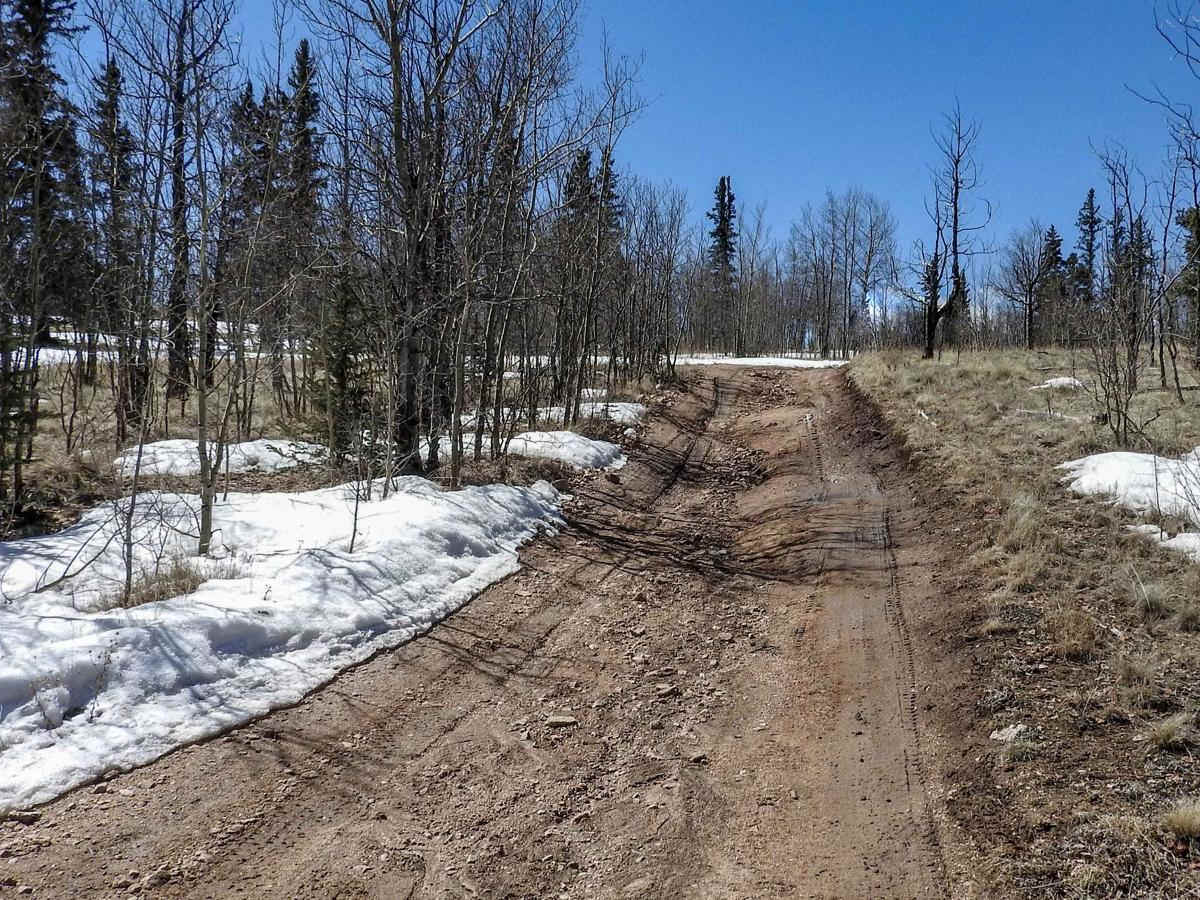 Weber Gulch Road FR 189 photo 5