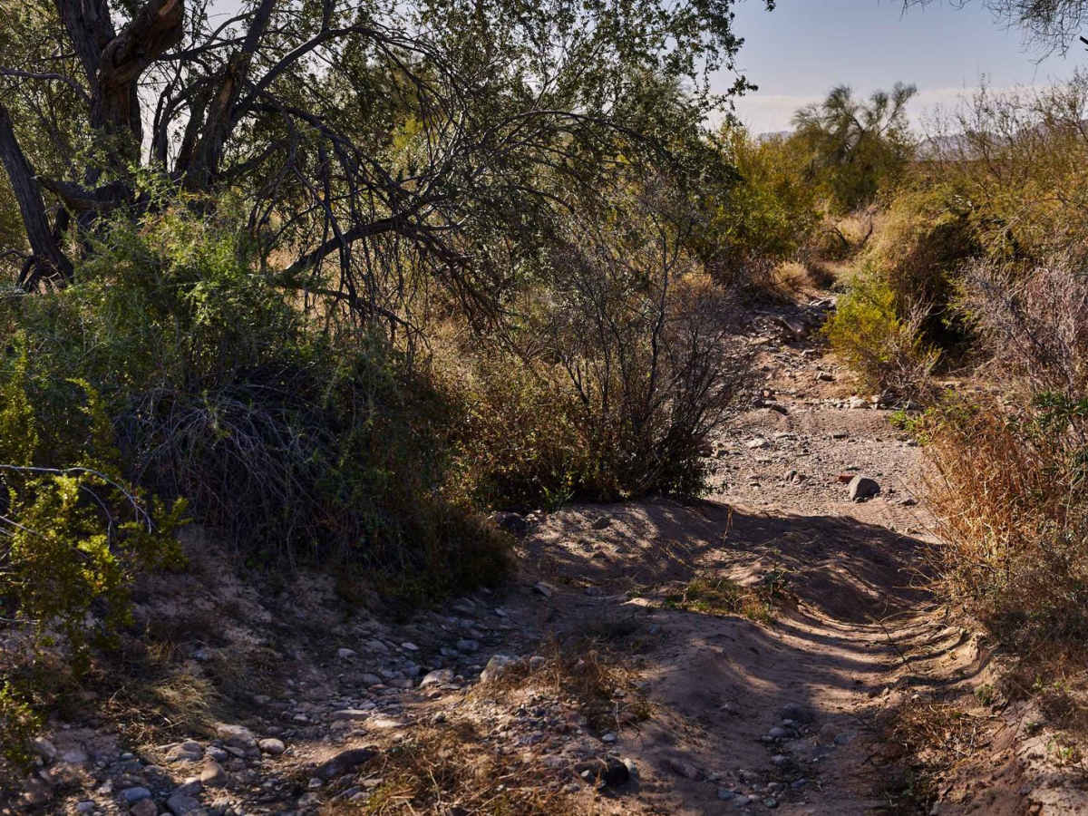 Palomas Trail - 083 photo 5
