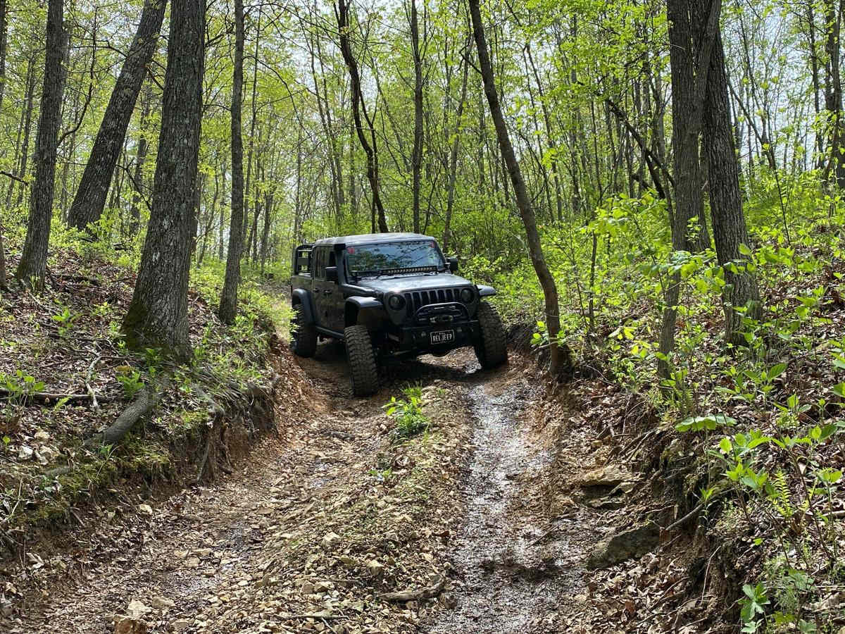 Deadwood trail photo