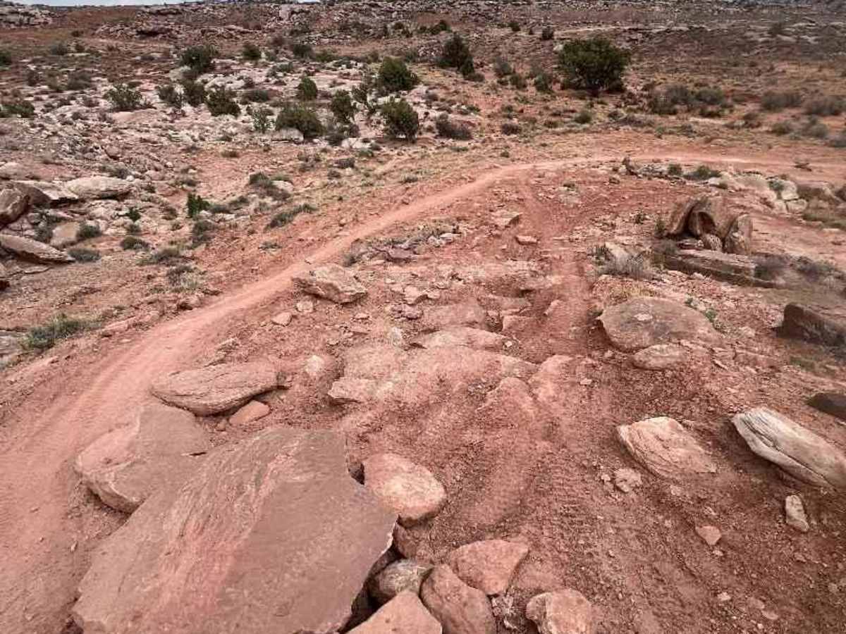 Sovereign Singletrack photo 6