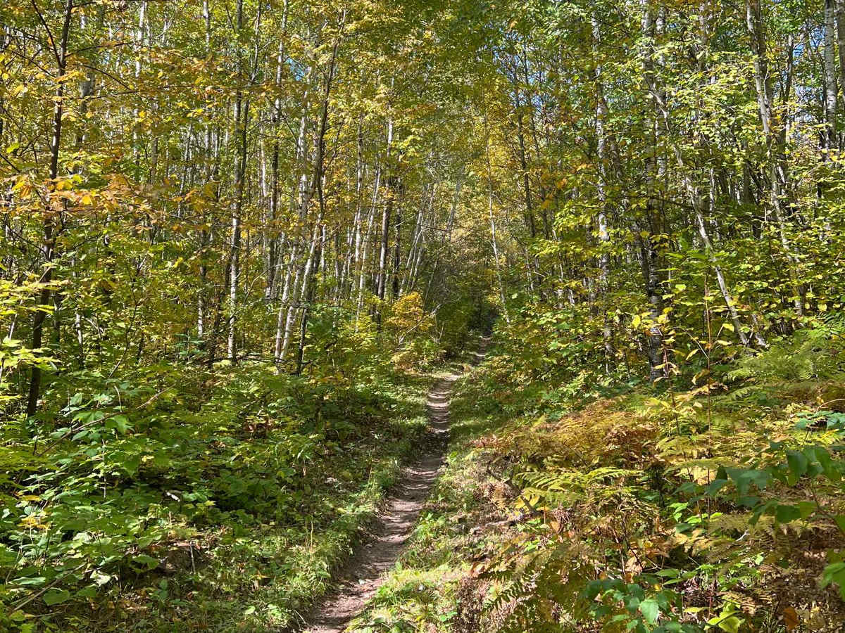 Paul Bunyan's Smooth Backwoods Cruise photo 6