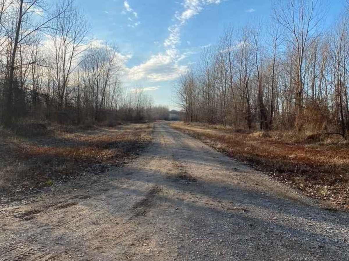 Ernest Rice Road photo 6