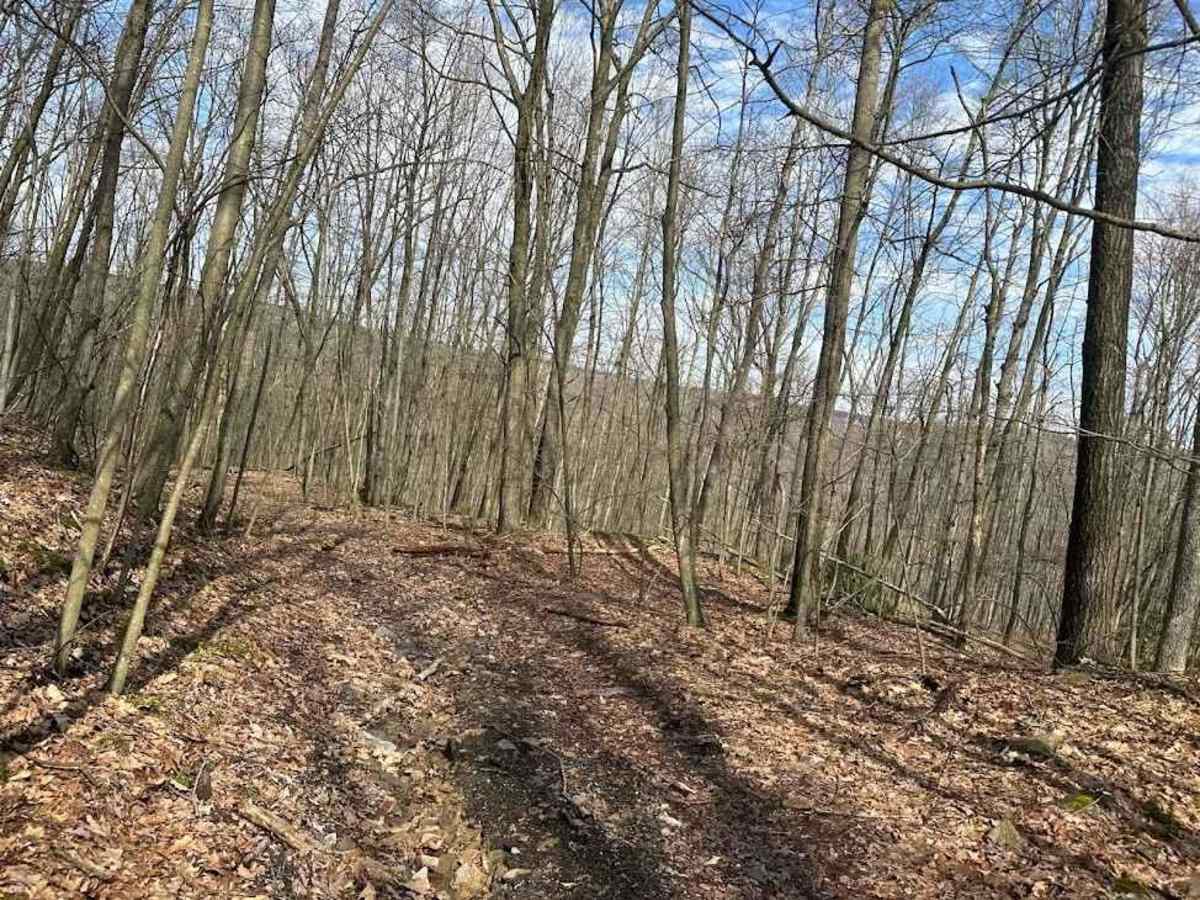 Ashland 134 photo 3