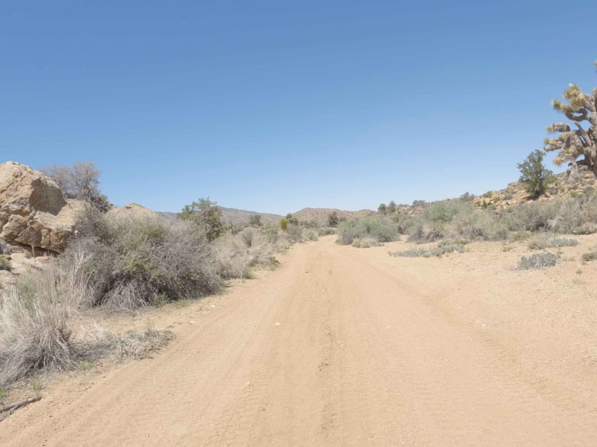BLM C2340 photo 6