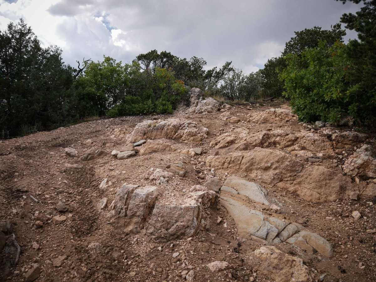 6057A ATV trail photo