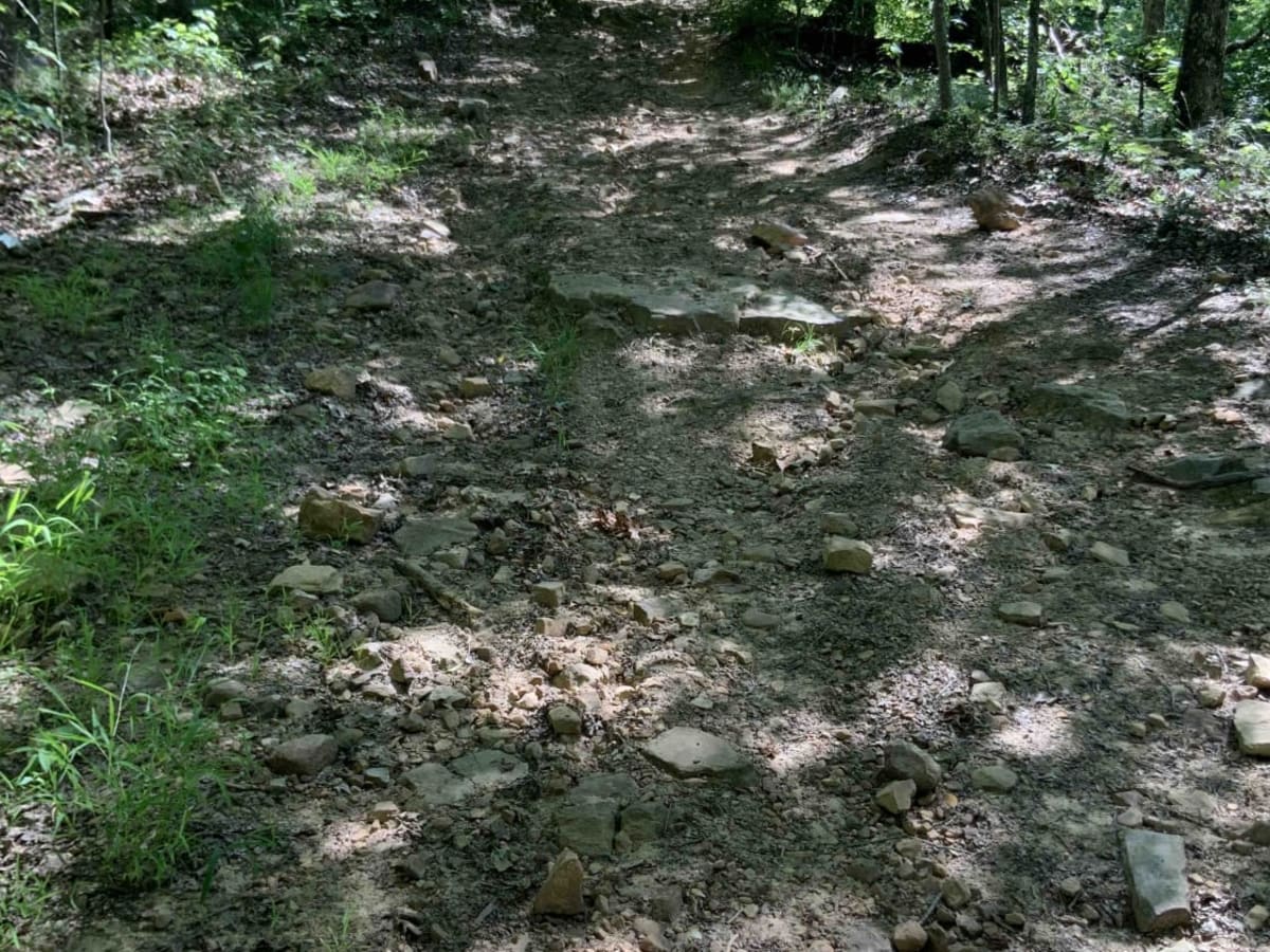1541 / Briar Creek photo 6