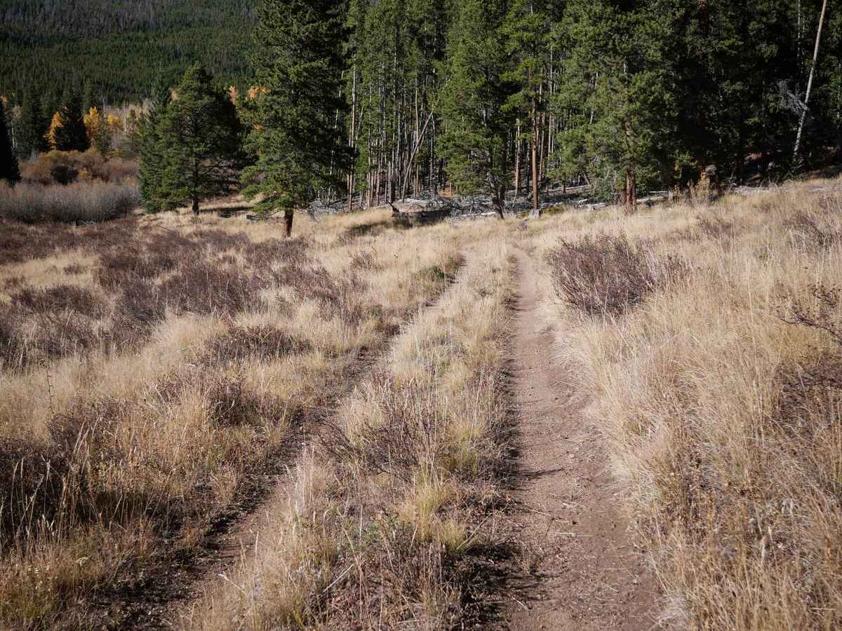 Powerline photo 5