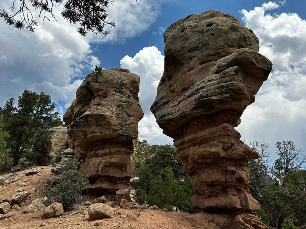 Tabby Mountain Loop trail photo