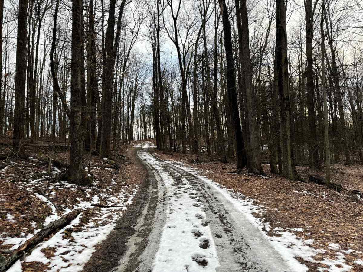 Brown Road photo 4