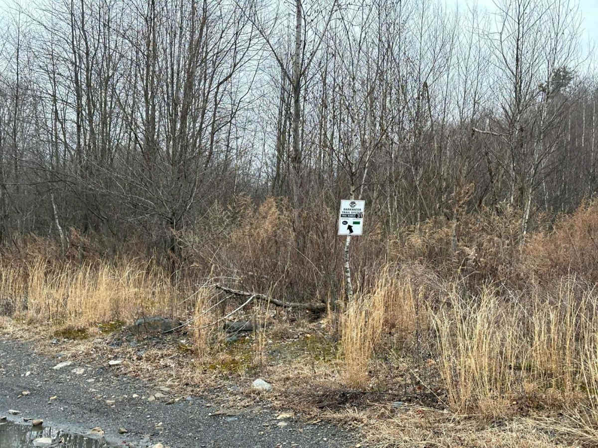 Darkwater 31 trail photo