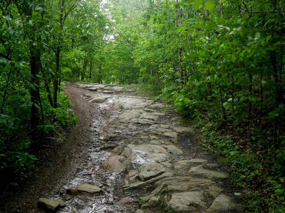 RH 29 trail photo