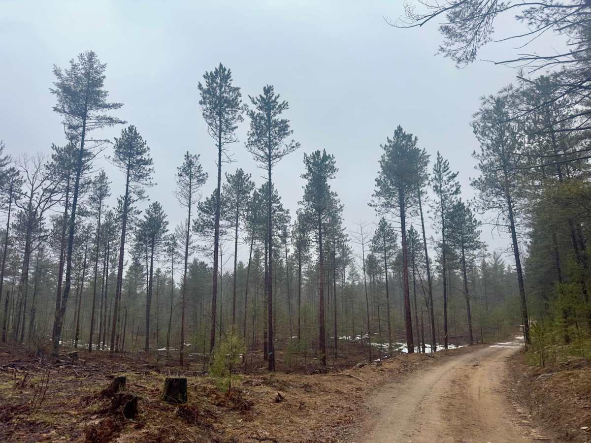 Guernsey Lake Rd NW photo 3