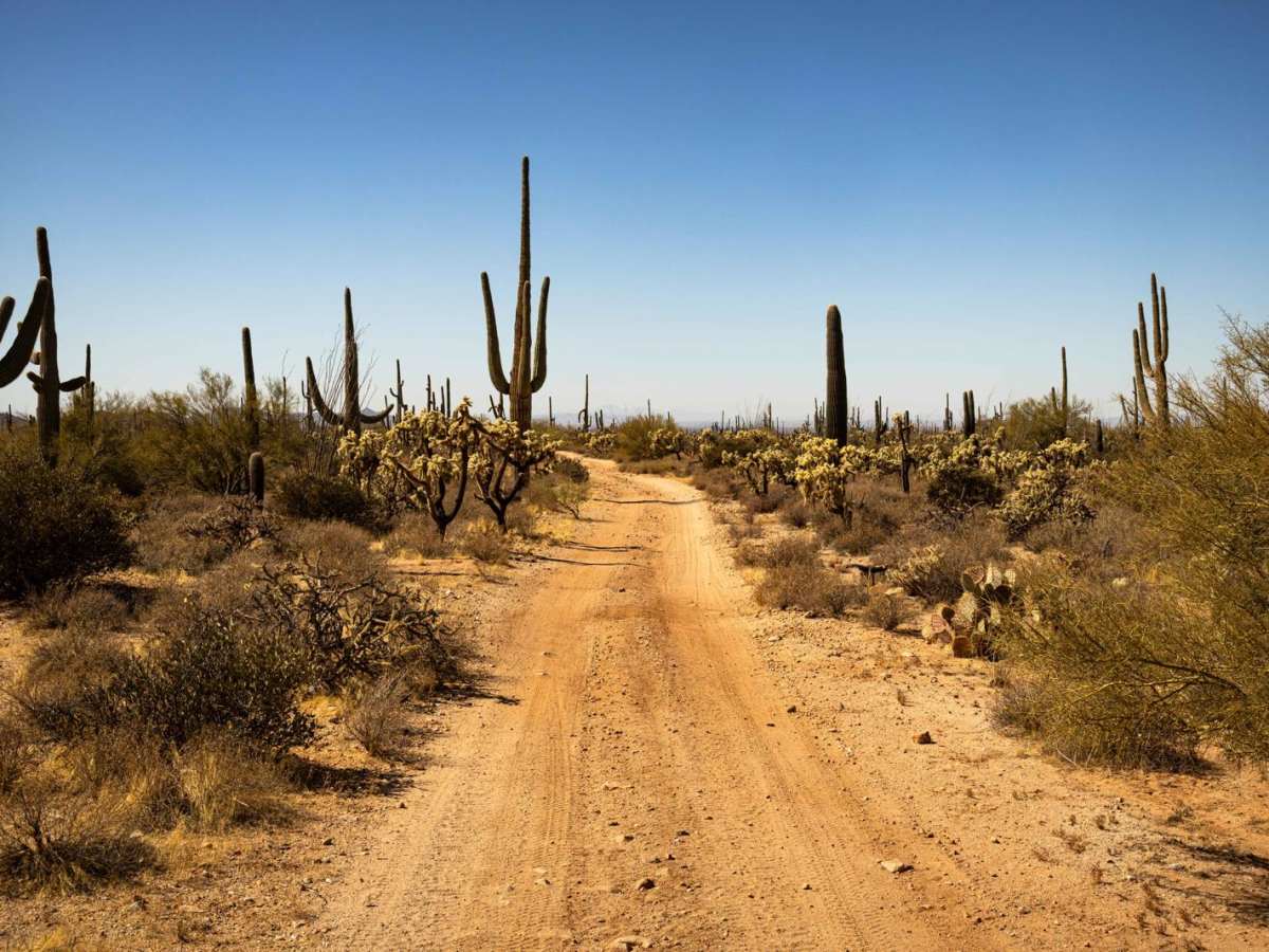 Paisano's Pathway photo 5