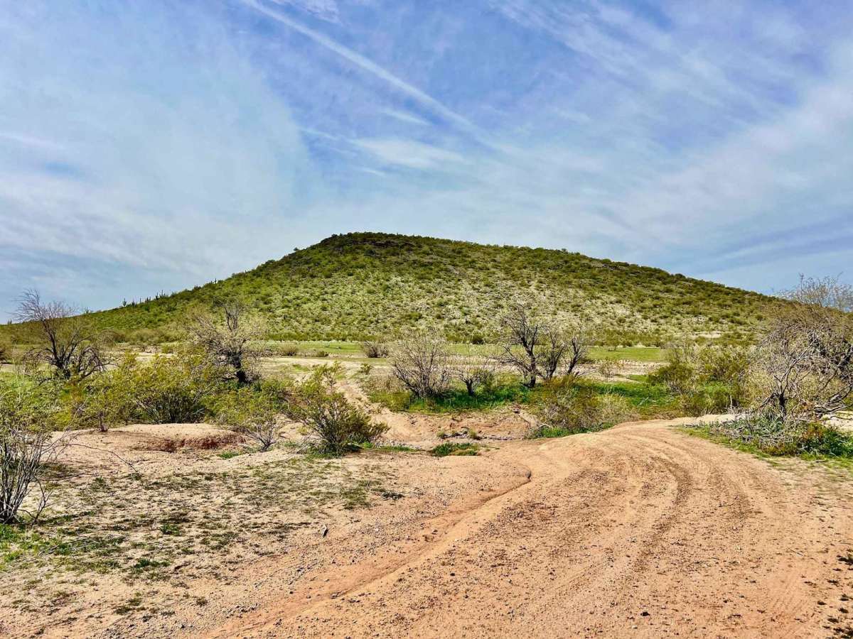 Black Mountain West trail photo