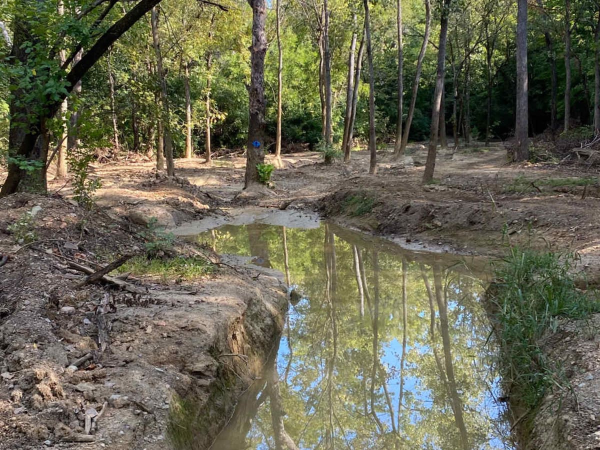 Blue Trail photo 6