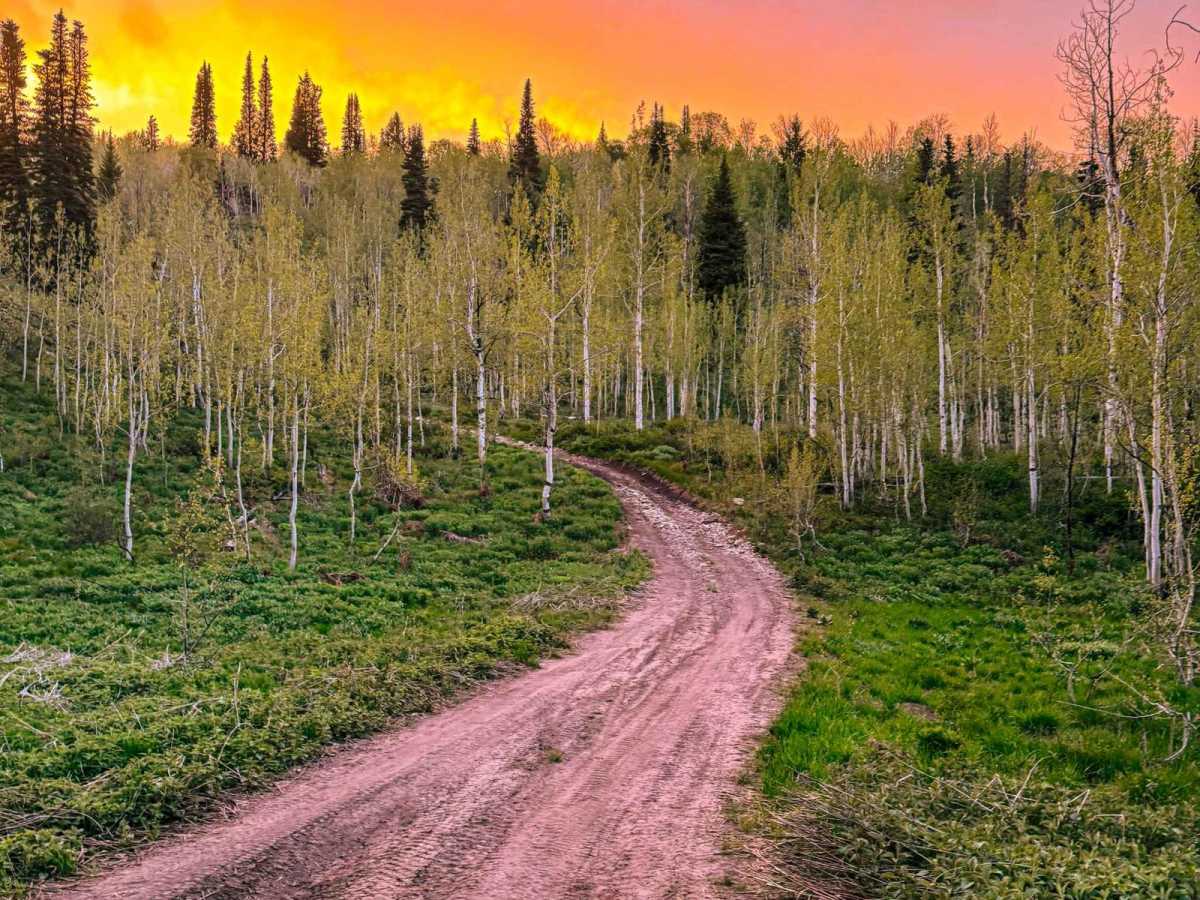 Rattlesnake Hill trail photo