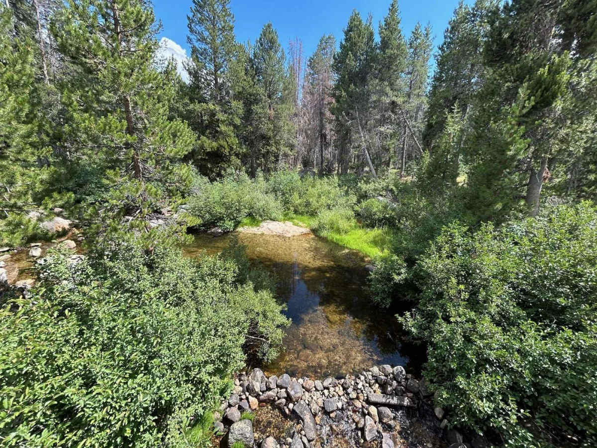 Sample Meadow Campground photo 6