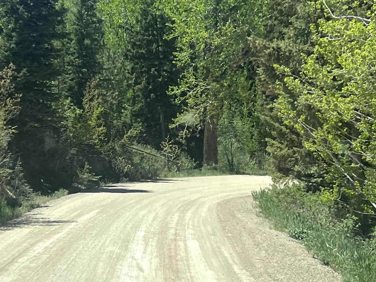 Sunlight Road photo 4