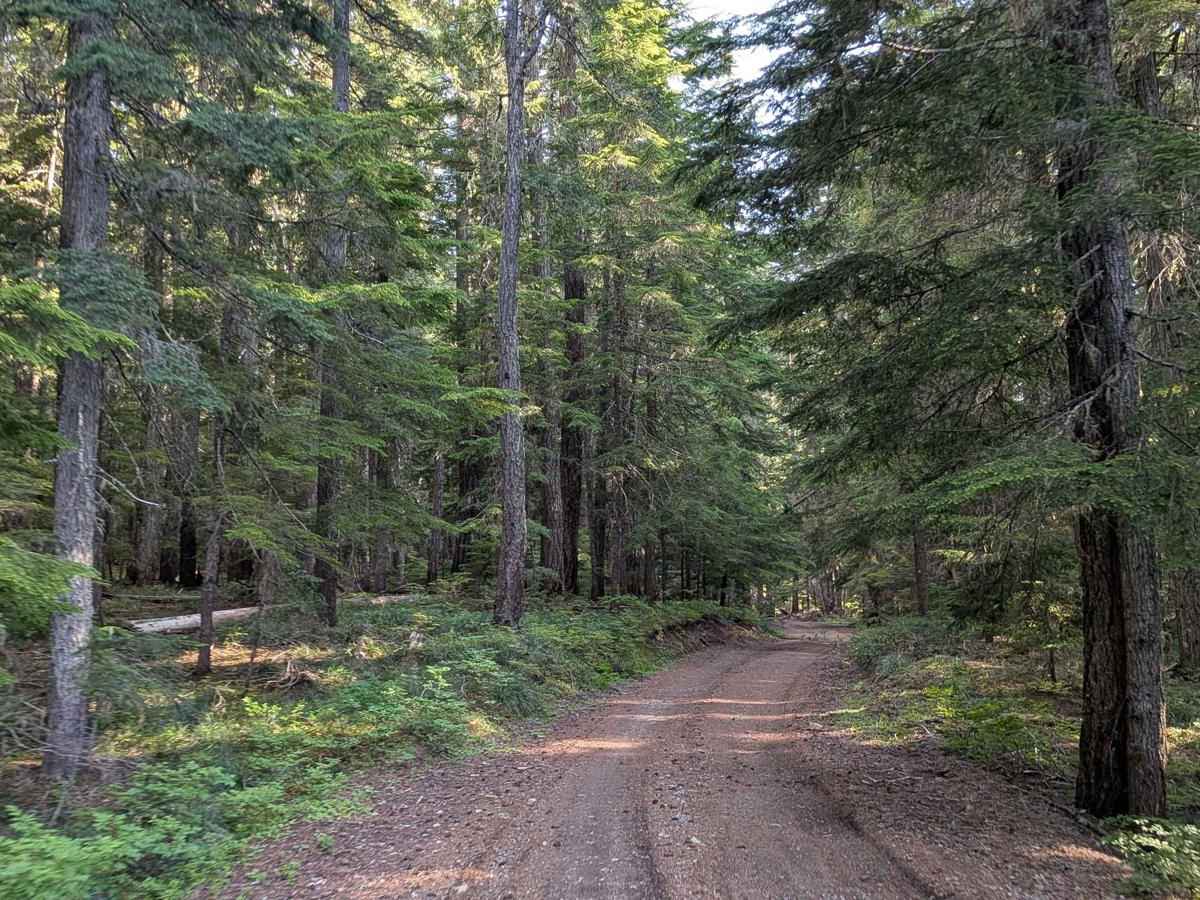 Skyline Road North photo 2