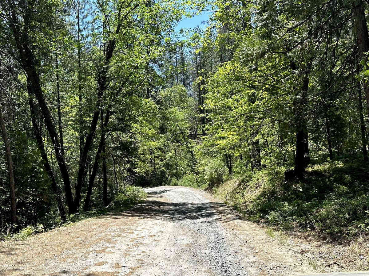Candy Rock Road trail photo