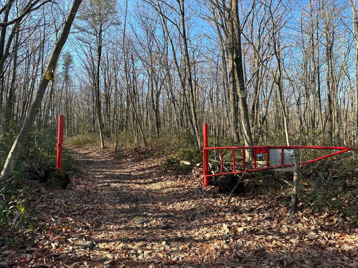 Darkwater 106 photo 3