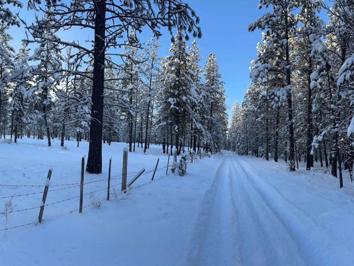 McGinty Lake Loop photo 6