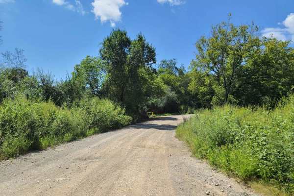 Flatwoods Road - Trail 1