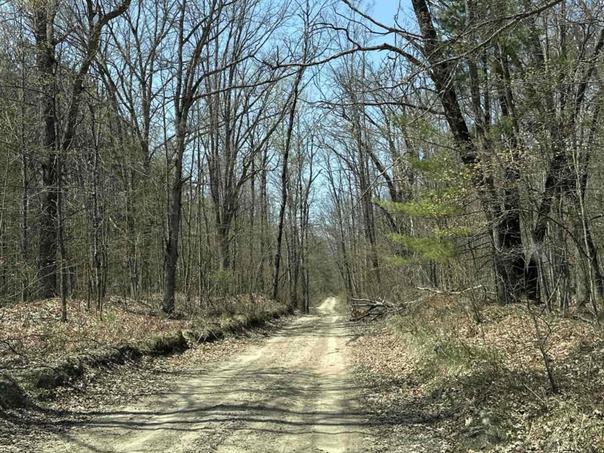 FS 4604 trail photo