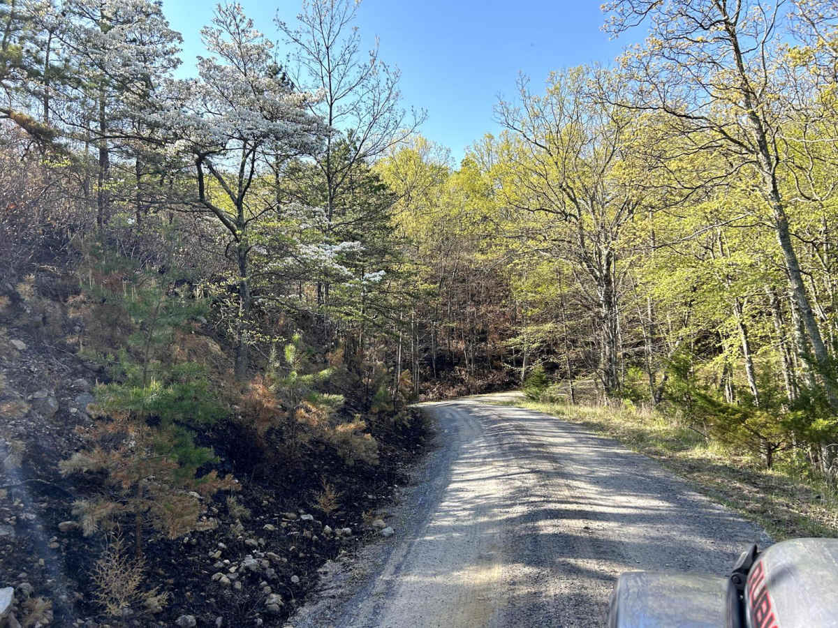Squirrel Gap Road trail photo