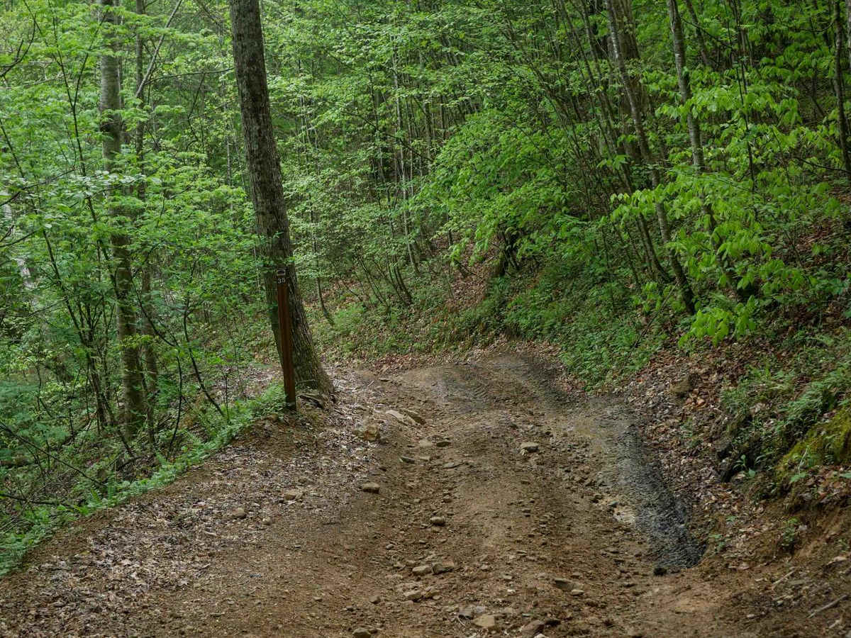 PC 35 photo 2