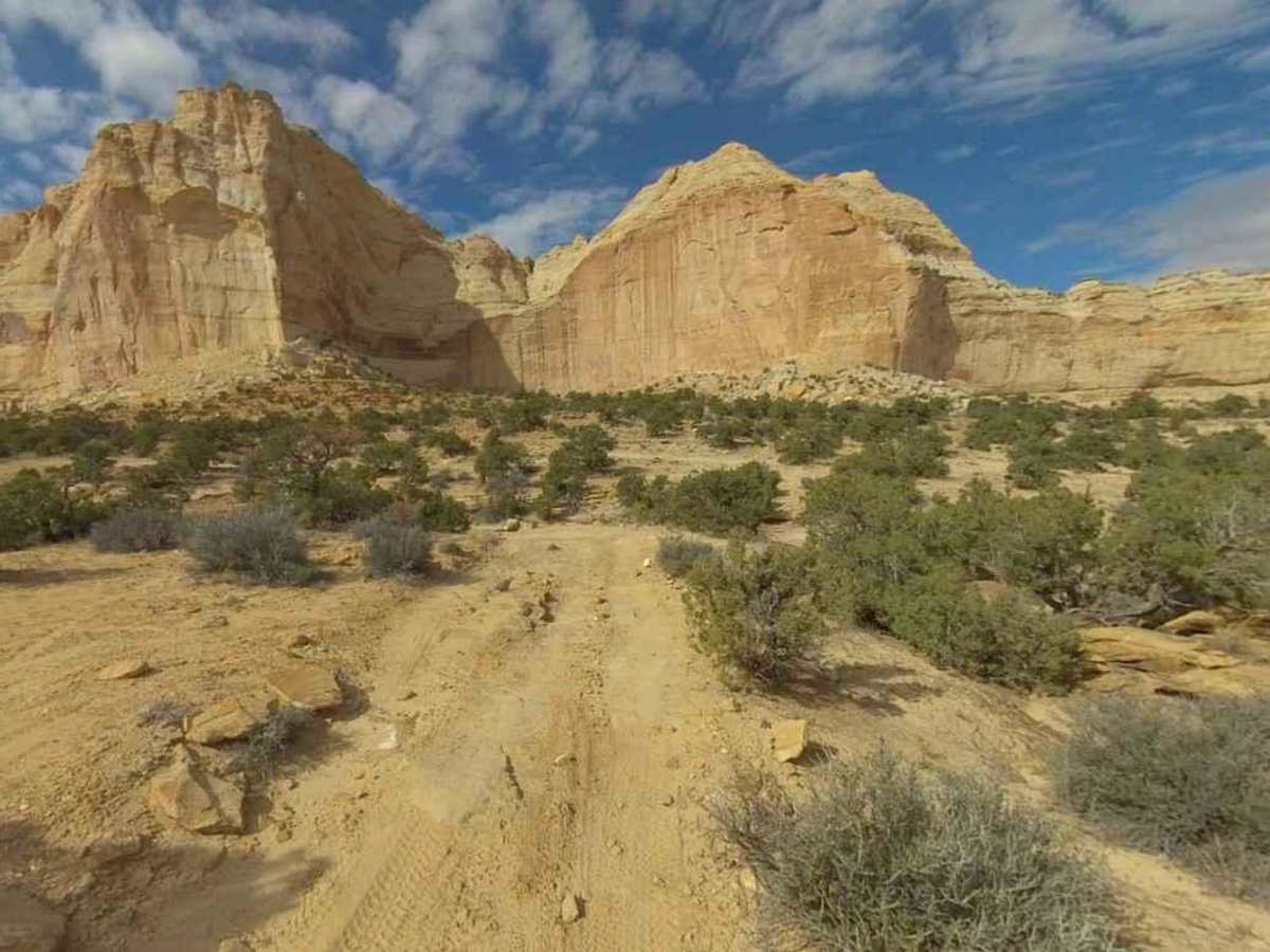 Eva Conover-BLM639 trail photo