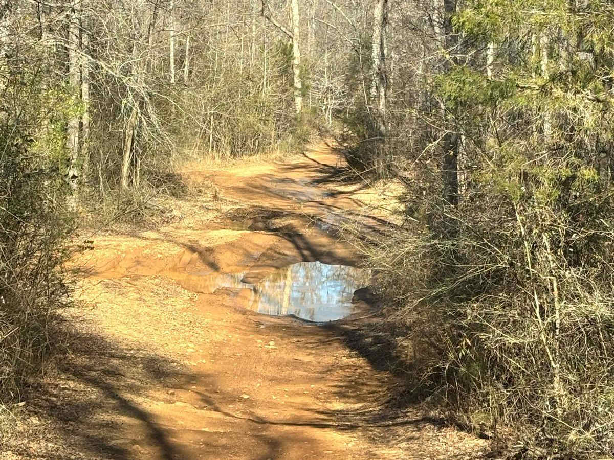 Creek Trail photo 4