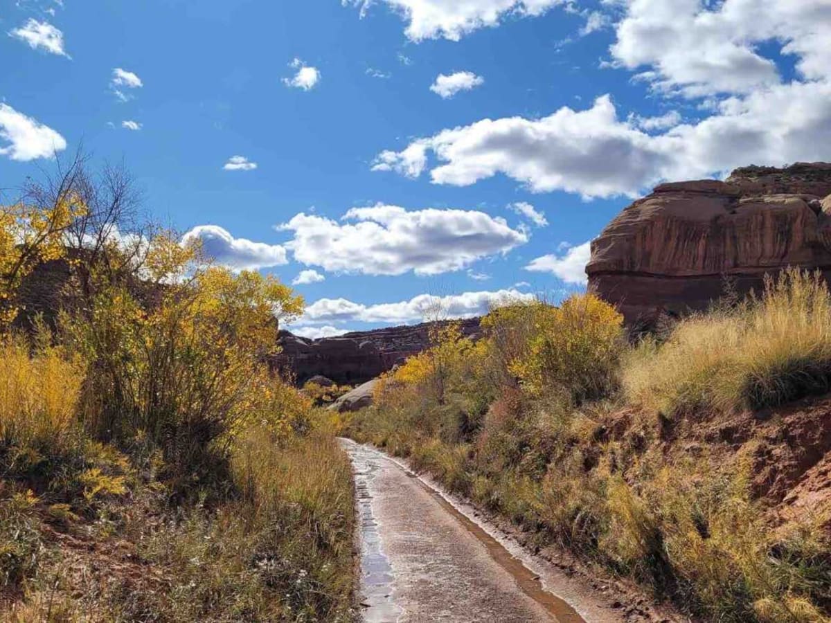 Lavender Canyon Road - North photo 5