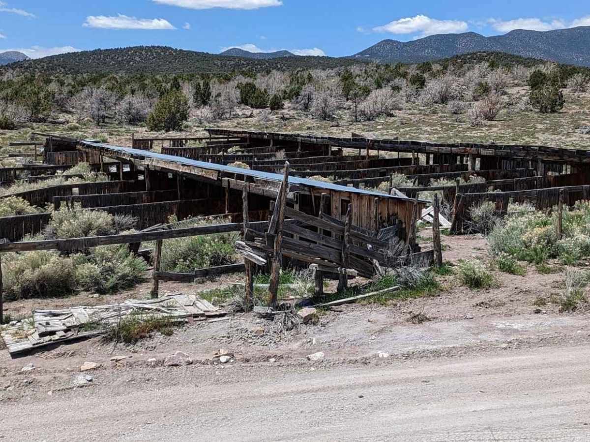 Baudino Ranch Road photo 5