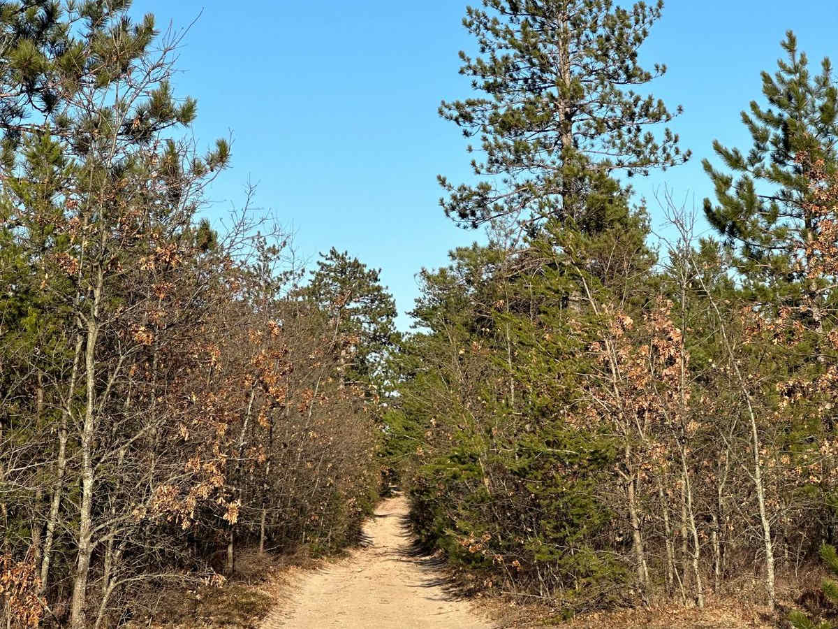 Fawn Road photo 3