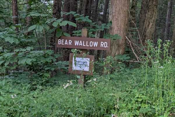 Bear Wallow Road