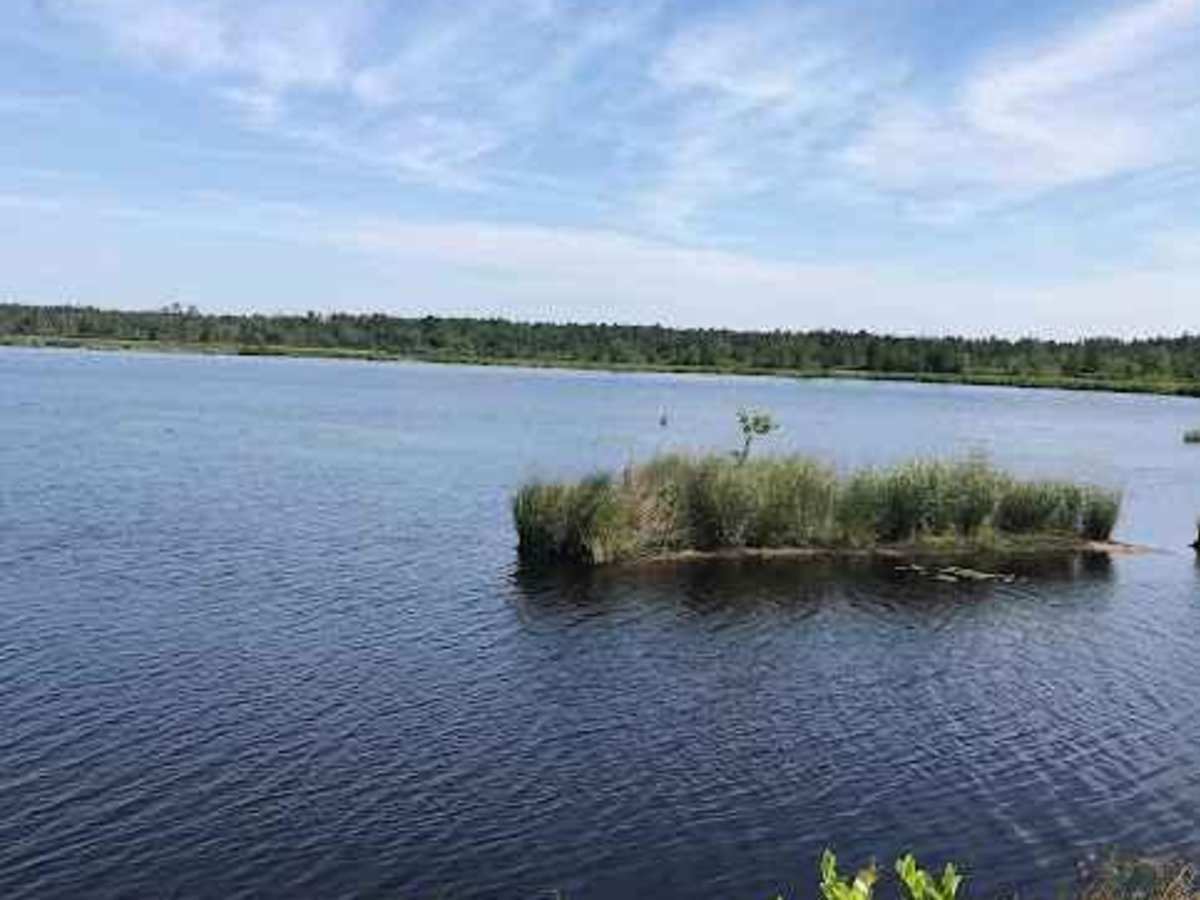 Whitesbog Village Trail trail photo